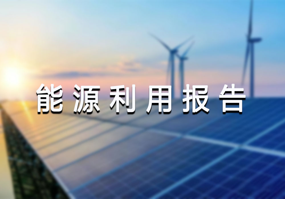 能源利用状况报告